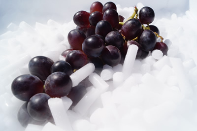 Vin Vendanges et Vinification avec de la carbo glace ou glace carbonique